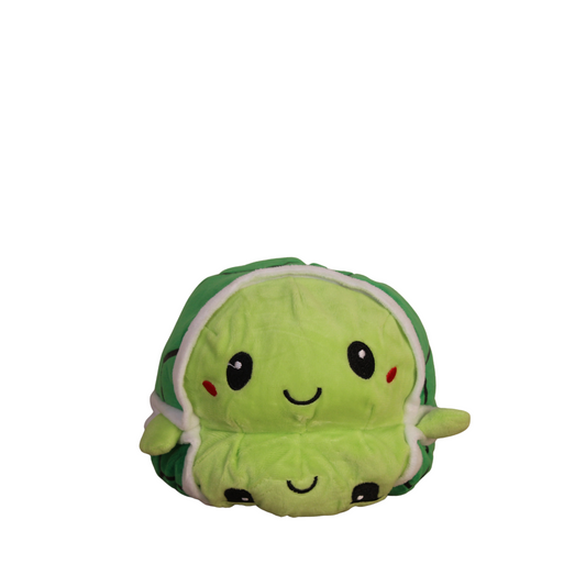 Turtle plush toy