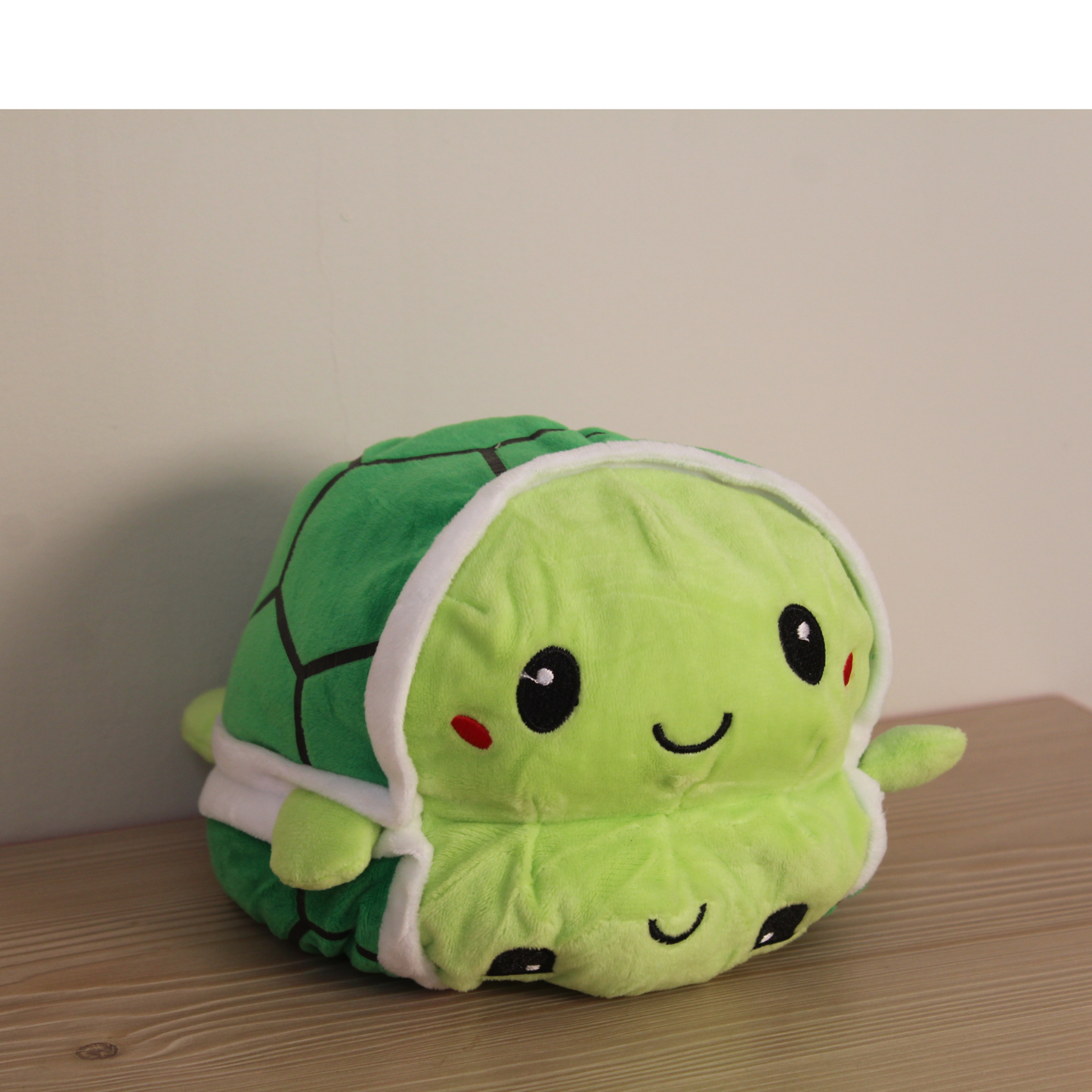 Turtle plush toy