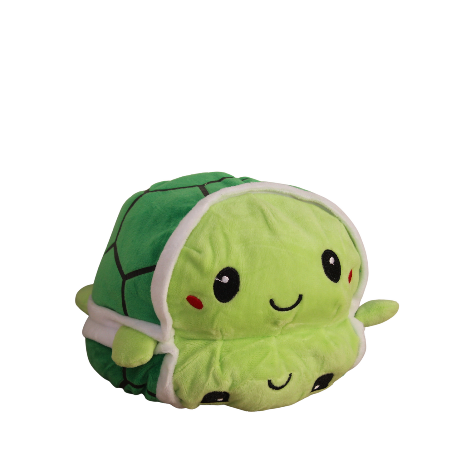 Turtle plush toy