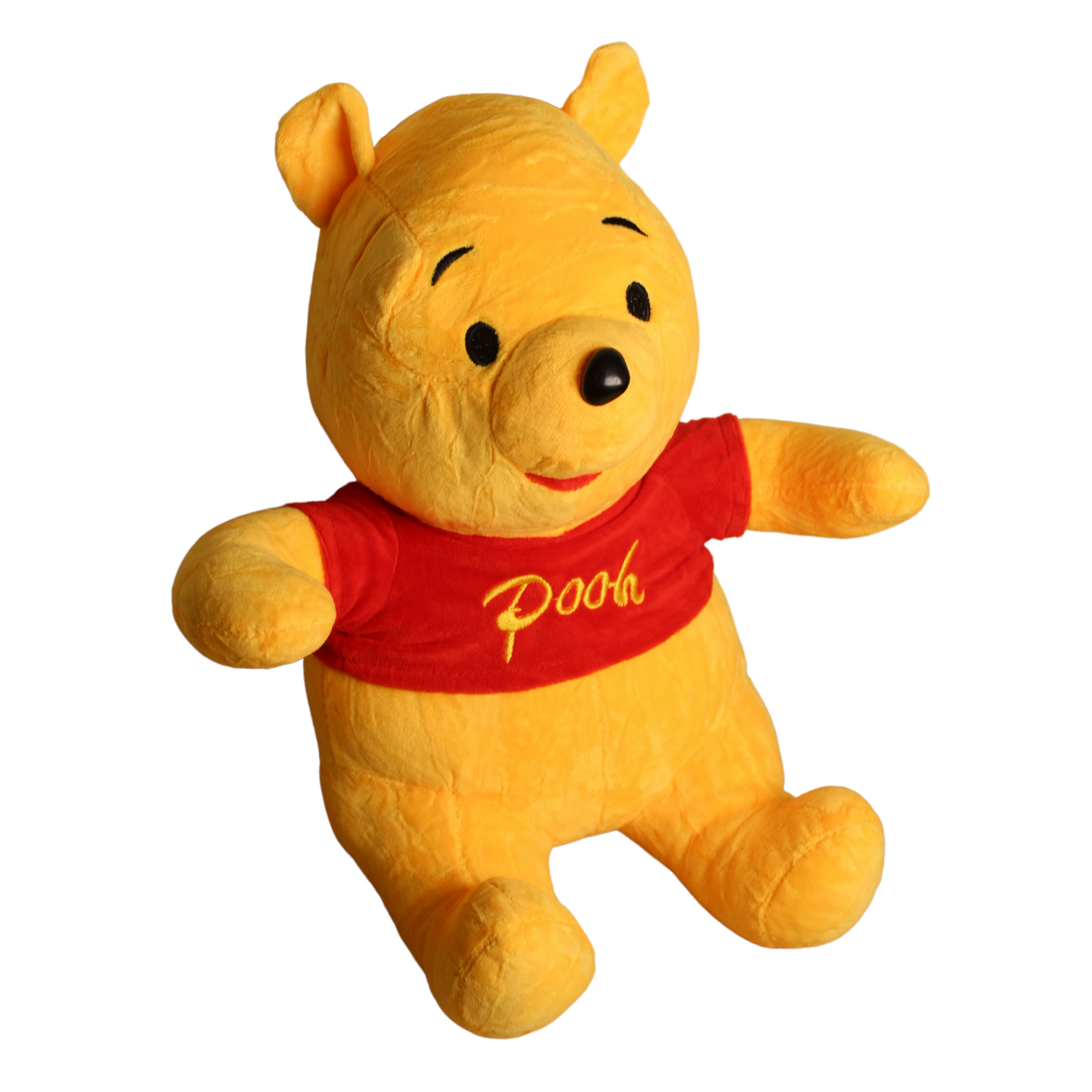 Pooh red jacket plush toy