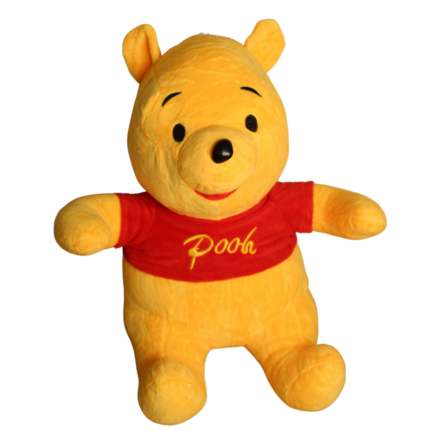 Pooh red jacket plush toy